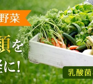 Viên DHC rau củ Perfect Vegetable Premium Nhật Bản 60 ngày - Ảnh 4