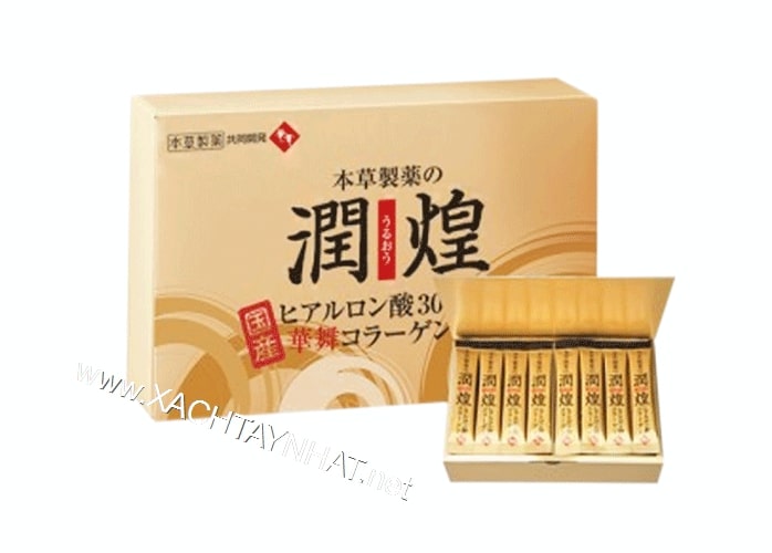 collagen vi sun ca map nhat ban