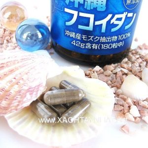 Viên uống tảo Fucoidan Okinawa Nhật Bản - Ảnh 4