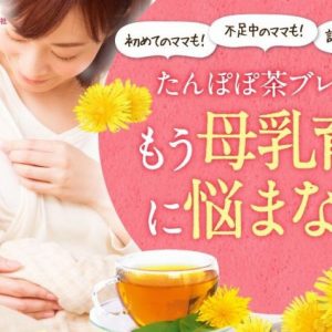 Trà bồ công anh Tanpopo Tea YAMAMOTO Nhật Bản - Ảnh 4