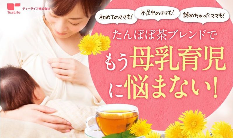Trà bồ công anh Tanpopo Tea YAMAMOTO Nhật Bản - Ảnh 4