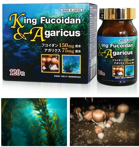 Viên uống King Fucoidan & Agaricus Nhật Bản - Ảnh 2
