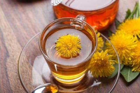 Trà bồ công anh Tanpopo Tea YAMAMOTO Nhật Bản - Ảnh 3