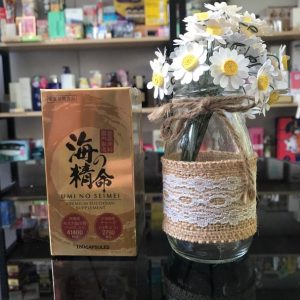 Fucoidan là gì? Viên uống Fucoidan Seimei có tốt không?