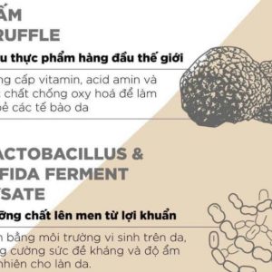 Thành phần của kem đêm Lanci Night Repair