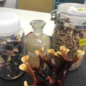 Thành phần viên uống phòng ngừa ung thư  Fukujyusen Ribeto
