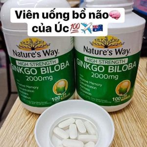 Công dụng Ginkgo Nature's Way