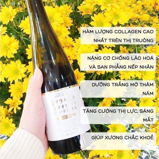 Collagen nhau thai ngựa Charlene có tốt không?