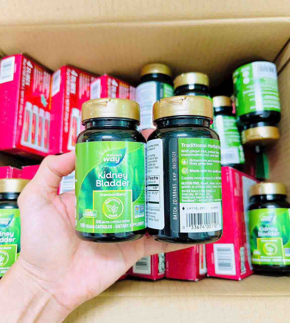 Viên uống Nature's Way Kidney Bladder hỗ trợ thận
