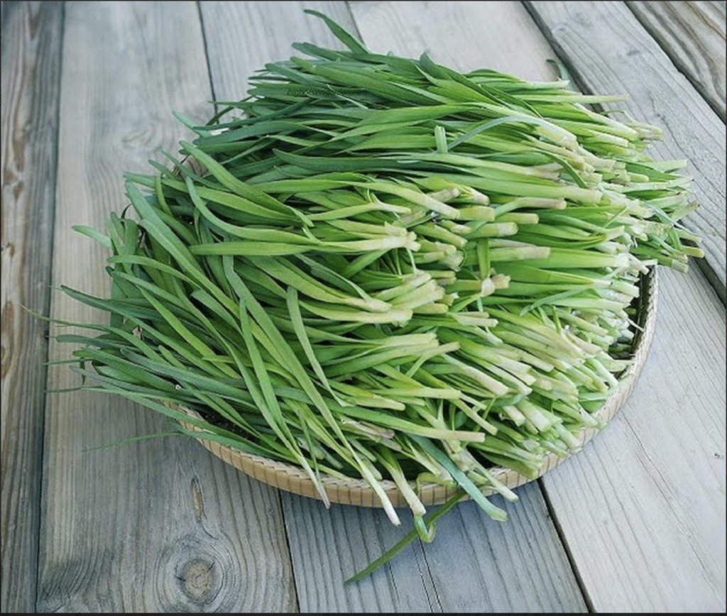 lá hẹ có tác dụng gì
