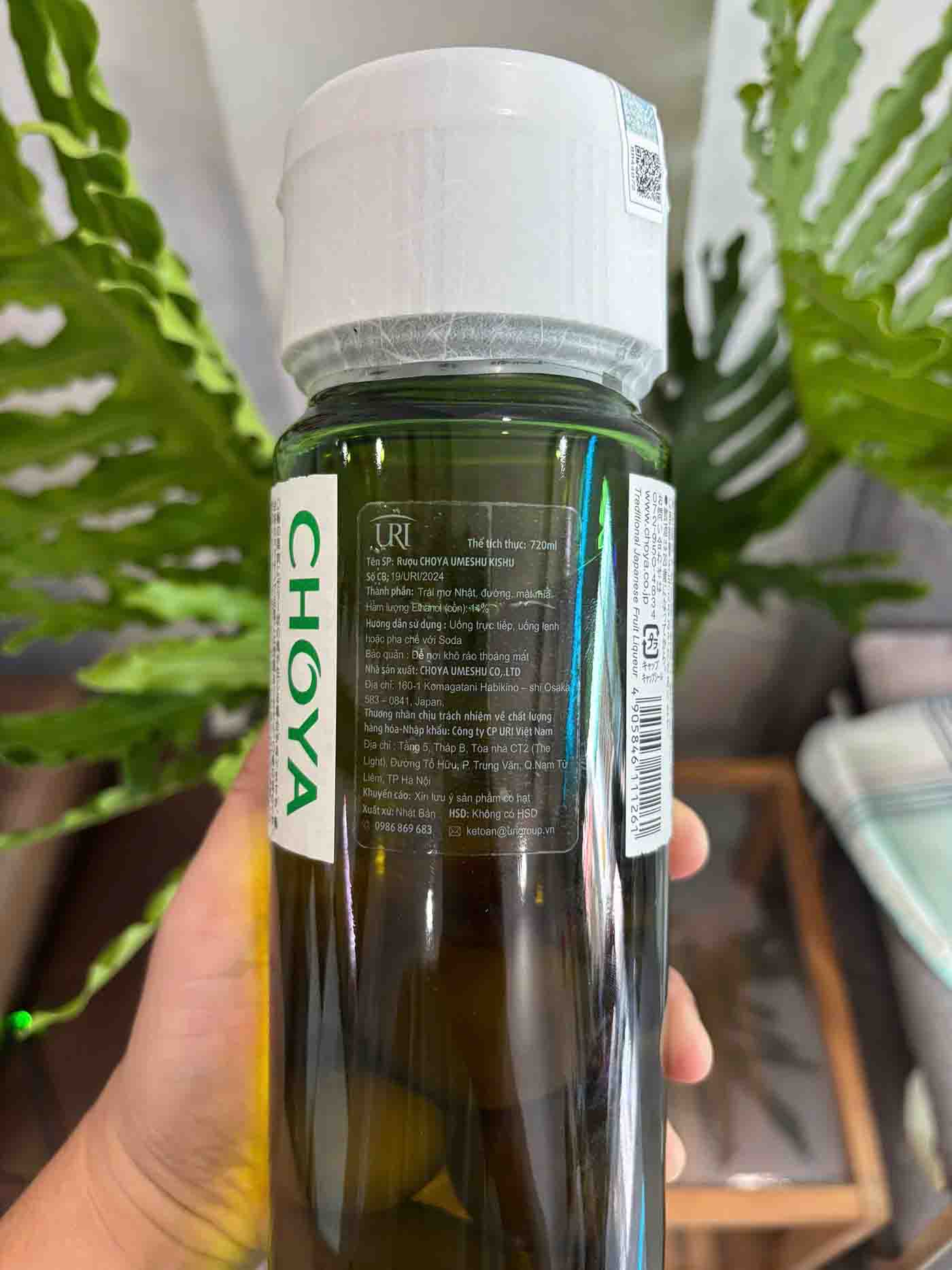 mơ Choya màu xanh