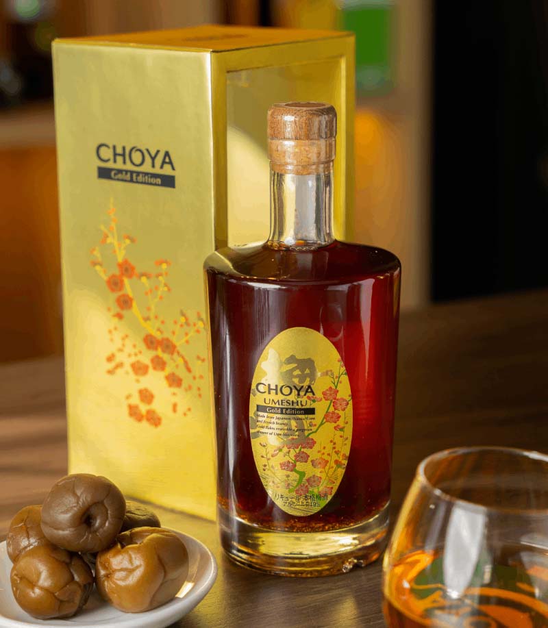 choya vảy vàng