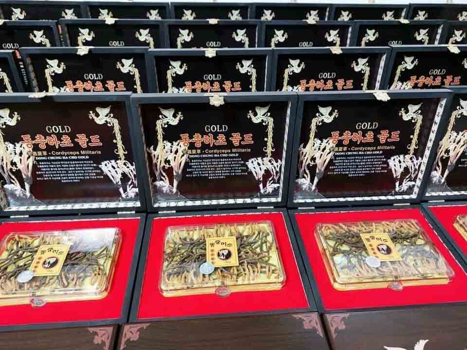 đông trùng hạ thảo hàn quốc nguyên con
