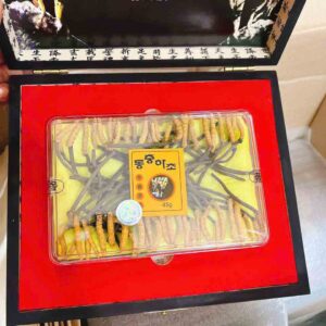 đông trùng hạ thảo nguyên con hàn quốc