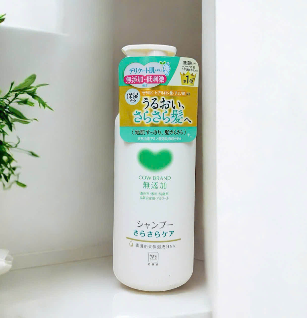 dầu gội cow brand