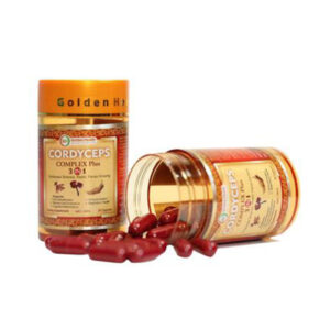 cordyceps complex plus 3 in 1