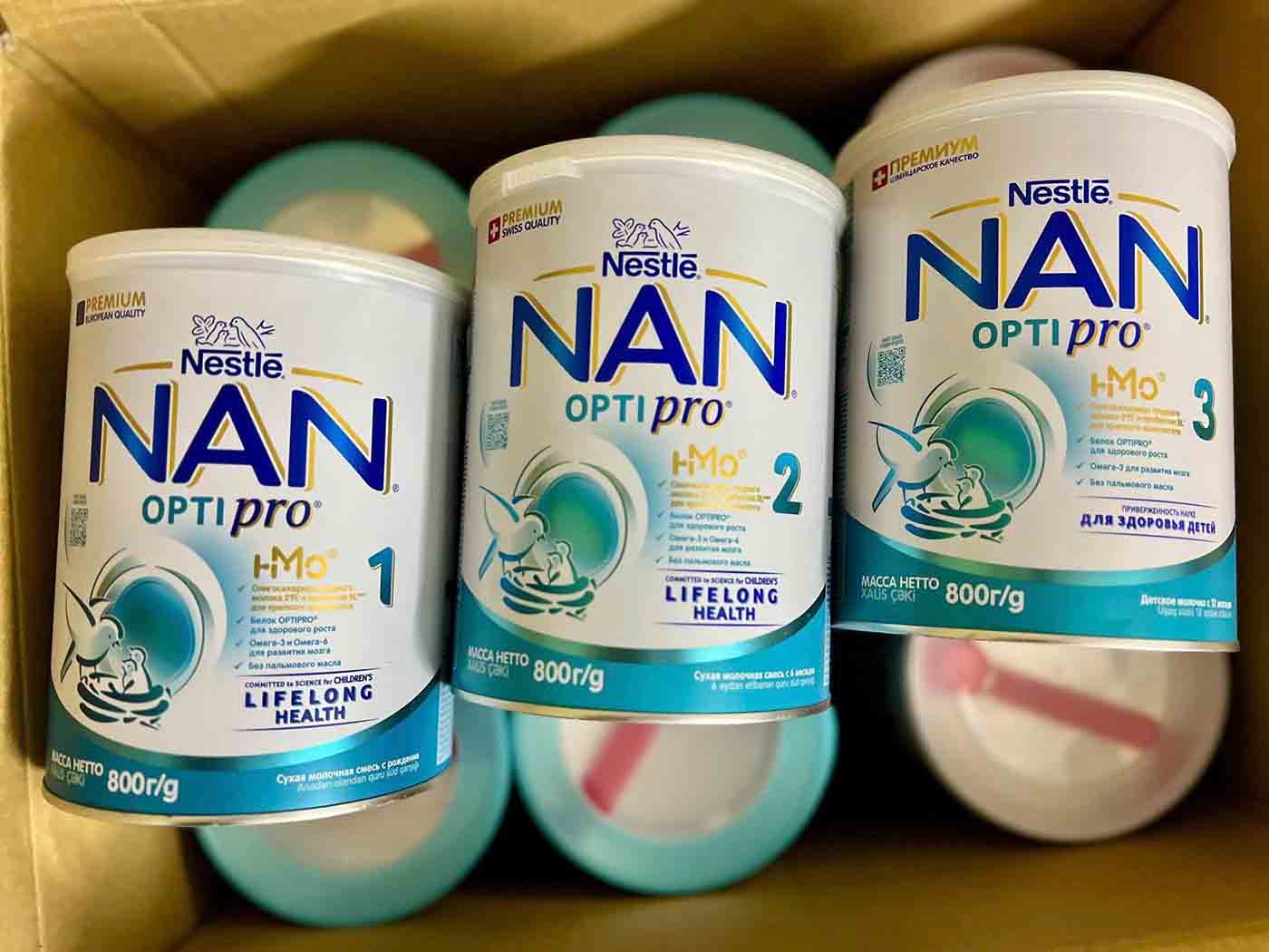 nan nga nội địa